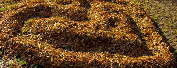 Jesenje boje Zenice by Musk Foto