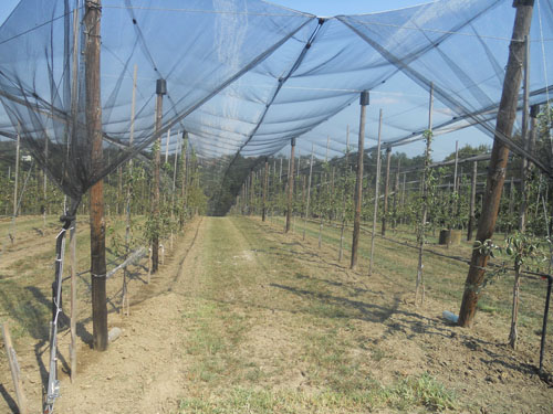 Poticaji poljoprivrednicima