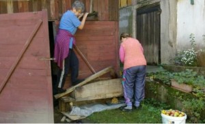 Priprema pekmeza od jabuka