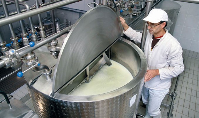 Pravo na izvoz mlijeka u EU iskoristile dvije od četiri mljekare iz BiH