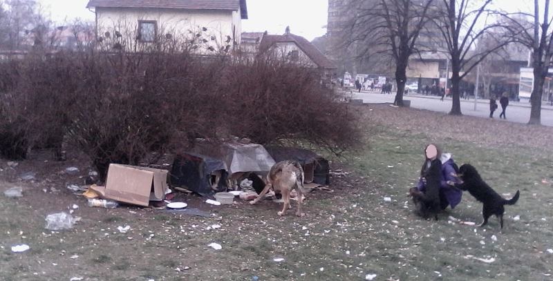 Prvi Azil za pse otvoren u centru Zenice