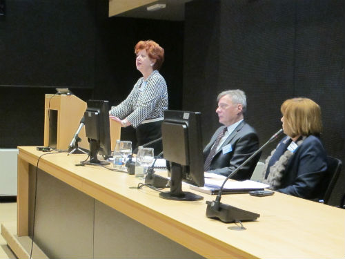 Novi Nadzorni odbor i dokapitalizacija RMU Zenica