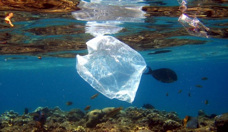 U vodama svijeta do 2050. biće više plastike nego riba
