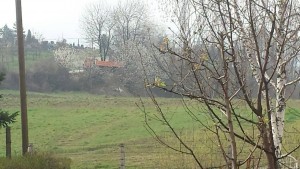 12914920_1589236464726768_16494991_o