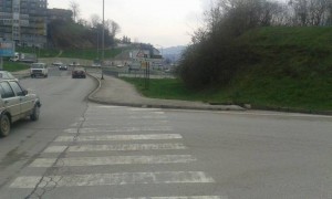 mrtav pas Crkvice (2)