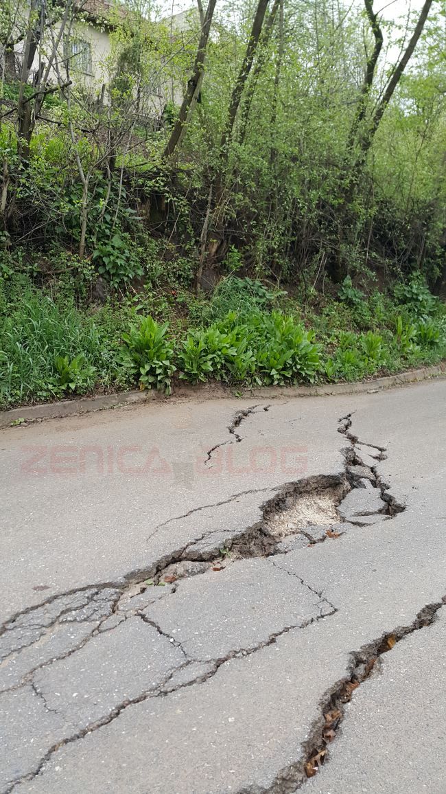 Put za Palinoviće (2)