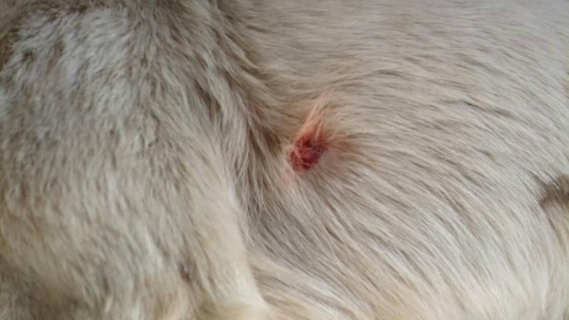 b2806124-96e8-4d08-a228-d506a2b08f0c