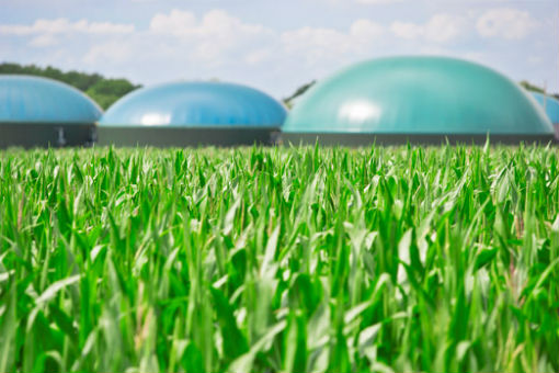 U BiH se gradi nekoliko elektrana na biomasu