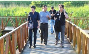 ------ Osijewk 2 stupca color