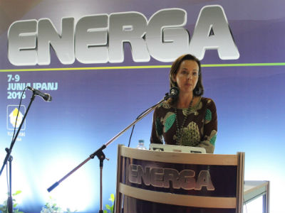 BiH godišnja baca 2500 tona ovčije vune koja može biti odličan izolator