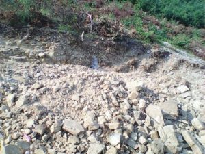 13644037_977283052388389_1876906274_n