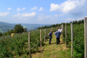 14115676_227030684365665_2131353823830154939_o