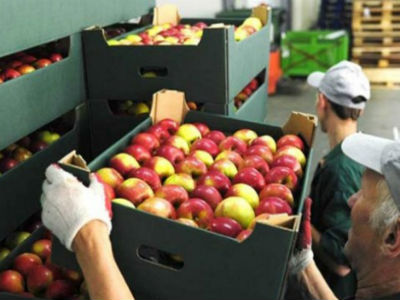 Zatraženo ukidanje zabrane izvoza voća i povrća iz BiH u Rusku Federaciju