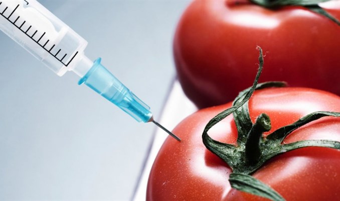 Većina bh. potrošača protiv upotrebe GMO u proizvodnji hrane