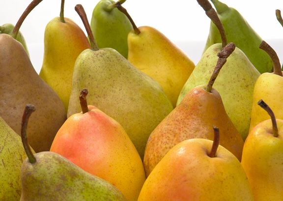 Jedemo kruške iz Čilea, a domaće trunu u gajbama