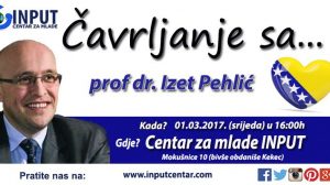 Centra za mlade INPUT, Mokušnice 10 Zenica.