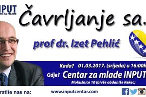 Centra za mlade INPUT, Mokušnice 10 Zenica.