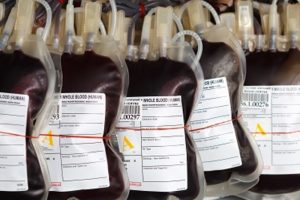Dobrovoljno darivanje krvi