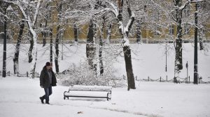 Trećina rođenih u zemlji danas živi izvan domovine