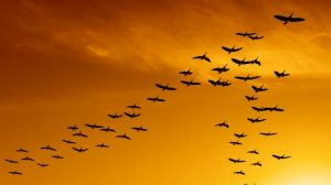 90.000 ljudi napustilo Bosnu i Hercegovinu