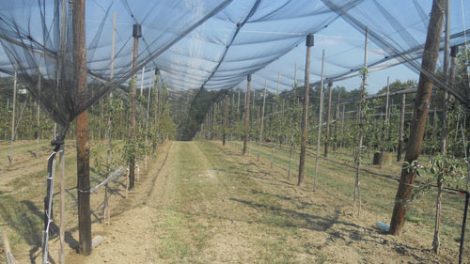 ISPLAĆENO 1,5 MILIONA KM POTICAJA POLJOPRIVREDNICIMA IZ BUDŽETA ZE-DO KANTONA