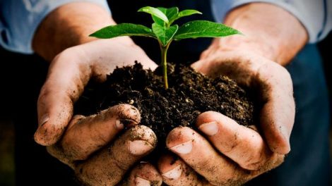 Na raspolaganju 19 miliona eura za zaštitu okoliša