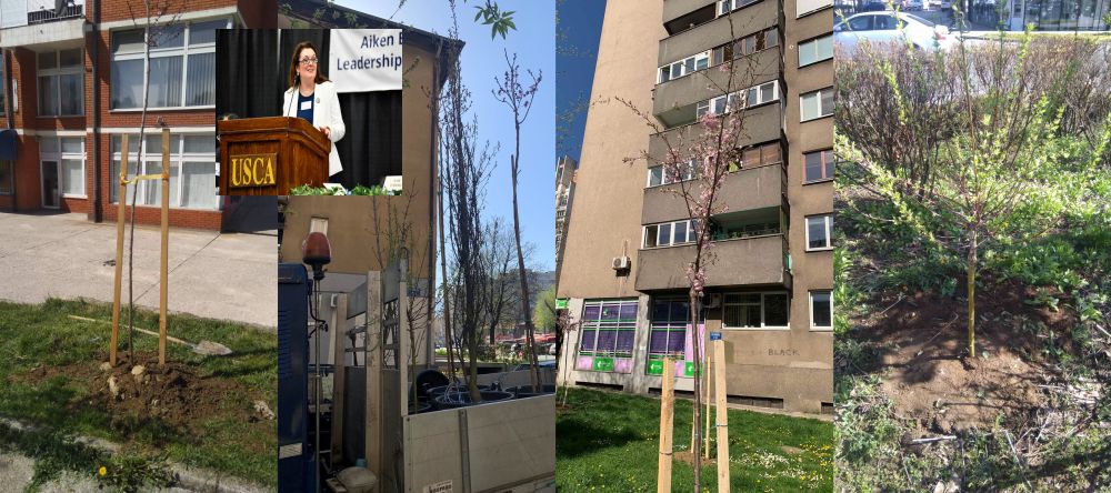 sanela porca donacija